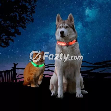 Collar LED para Mascotas