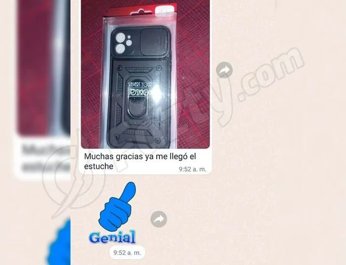 Cliente satisfecho de Fazty 09